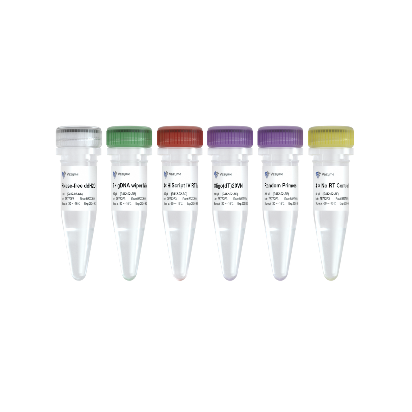 HiScript IV 1st Strand cDNA Synthesis Kit (+gDNA wiper)