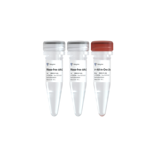 HiScript IV All-in-One Ultra RT SuperMix for qPCR