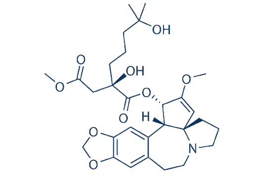 Homoharringtonine (HHT)