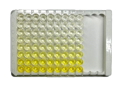 Human CXCL10 ELISA Kit