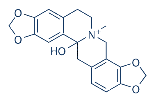 Hydroprotopine