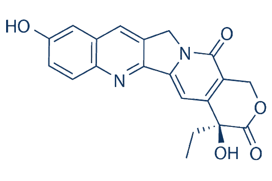 Hydroxy Camptothecine