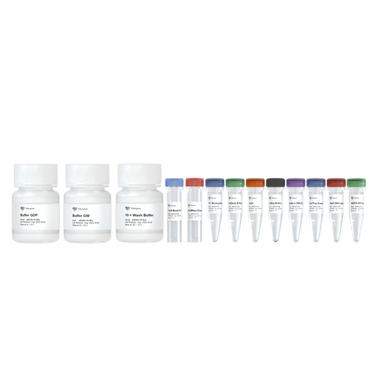 Hyperactive pG-MNase CUT&RUN Assay Kit for Illumina