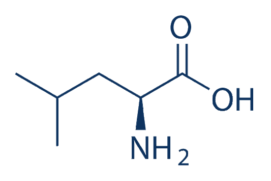 L-Leucine
