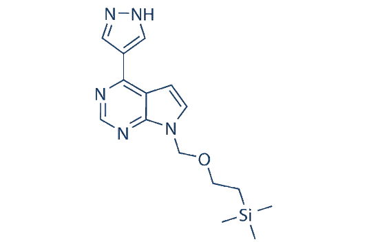 INCB032304