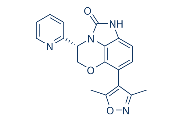 INCB054329