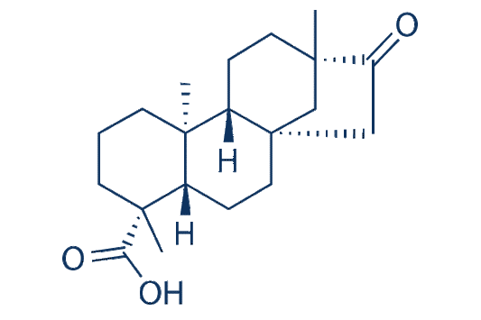 Iso-Steviol