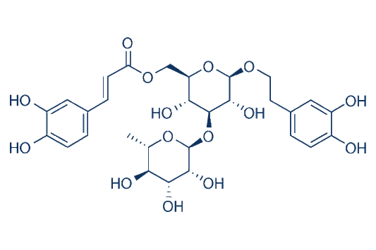 Isoacteoside