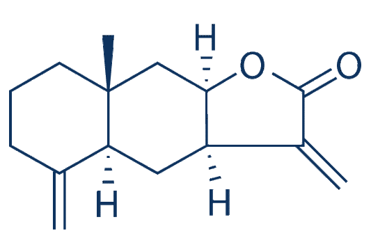 Isoalantolactone