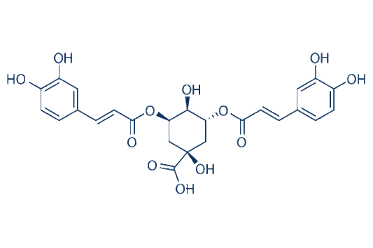 Isochlorogenic acid A