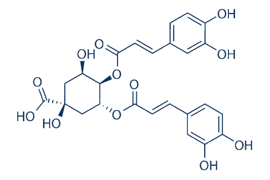 Isochlorogenic acid B