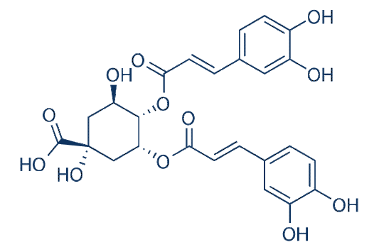 Isochlorogenic acid C