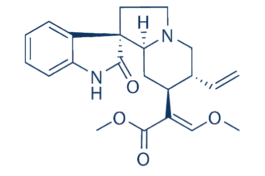 Isocorynoxeine