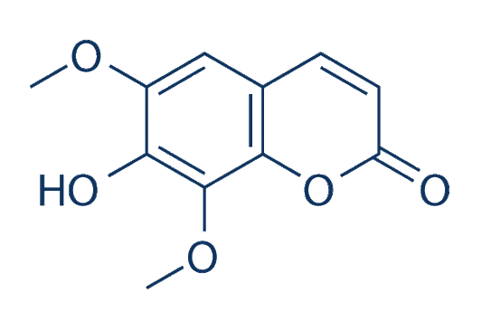 Isofraxidin