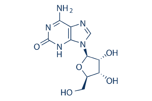 Isoguanosine