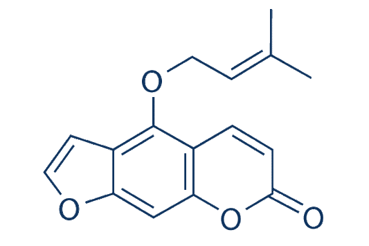 Isoimperatorin