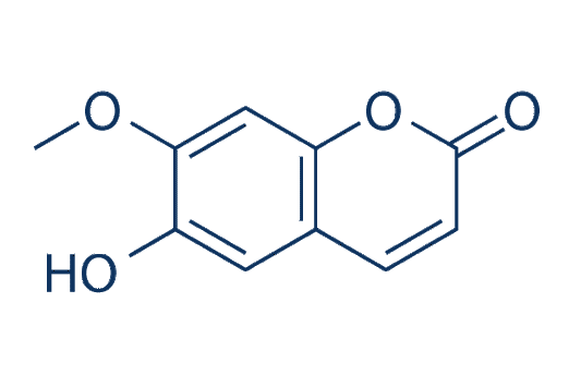 Isoscopoletin