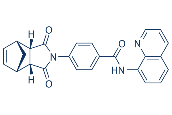 IWR-1-endo
