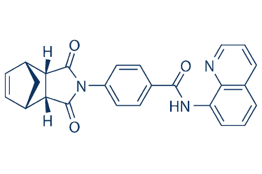 IWR-1-endo