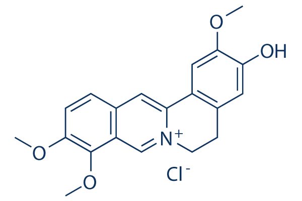 Jatrorrhizine chloride