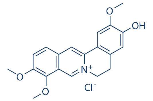 Jatrorrhizine chloride