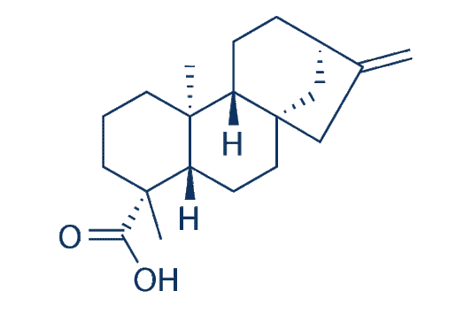 Kaurenoic acid