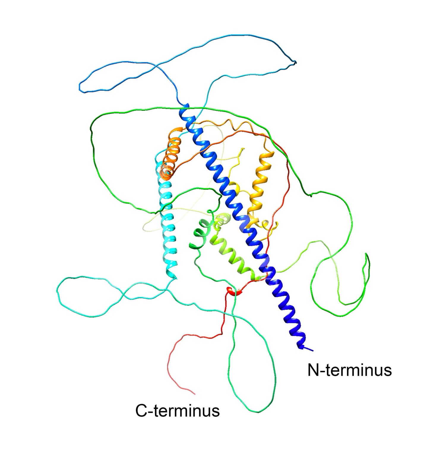 KIAA0408 (C-Terminus) Antibody - FFPE Validated
