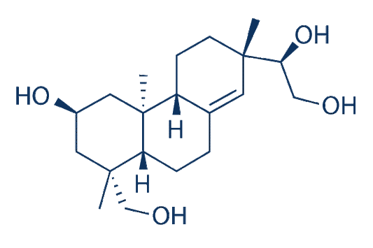 Kirenol