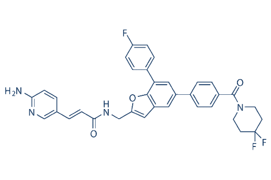 Padnarsertib (KPT-9274, ATG-019)