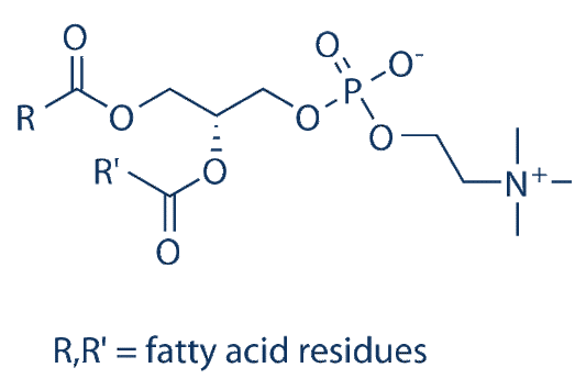 L-α-Phosphatidylcholine