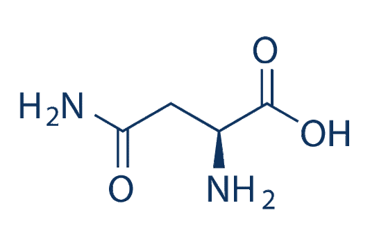 L-Asparagine