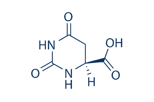 L-Hydroorotic acid