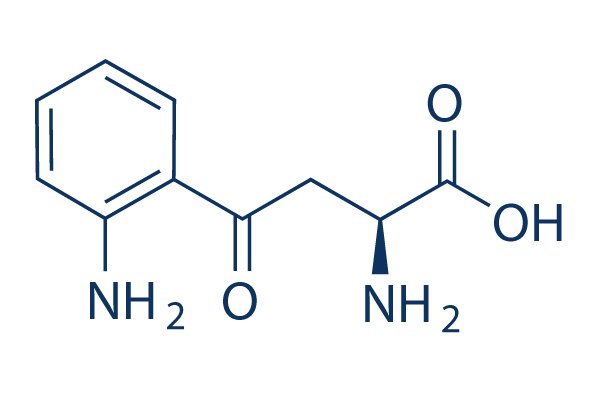L-Kynurenine