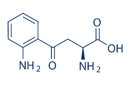L-Kynurenine