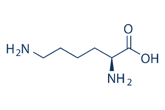 L-lysine