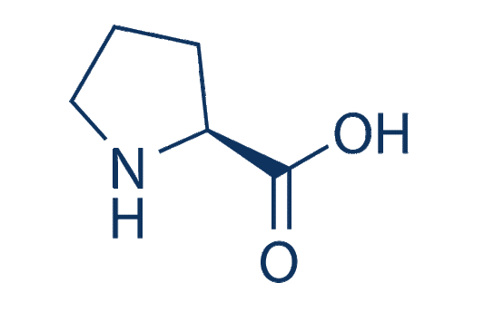 L-Proline