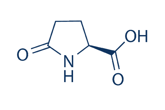 L-Pyroglutamic acid