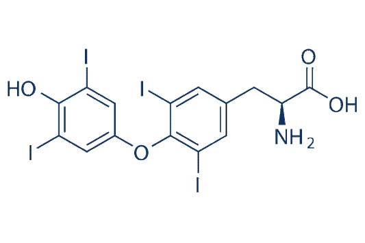 L-Thyroxine (Levothyroxine)