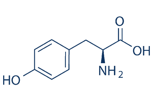 L-Tyrosine
