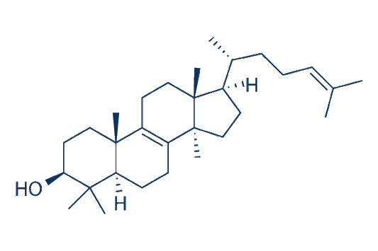 lanosterol