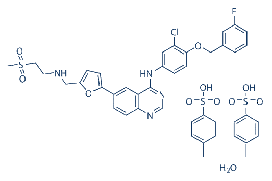 Lapatinib ditosylate monohydrate