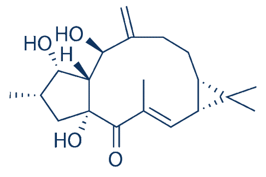 Lathyrol