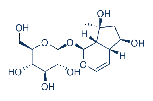 Leonuride