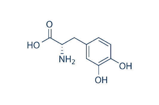 Levodopa
