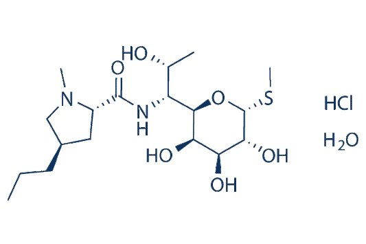 Lincomycin Hydrochloride Monohydrate