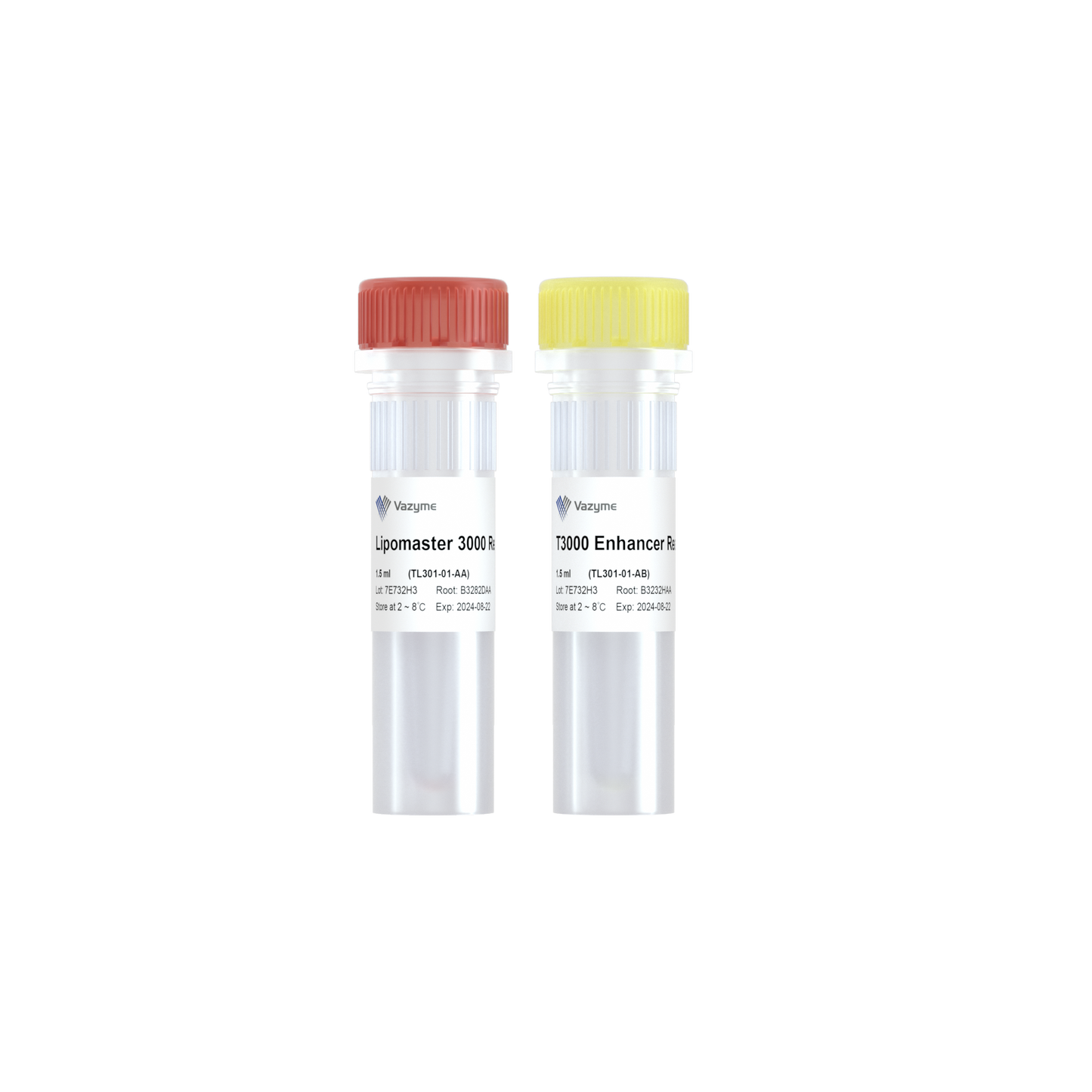 Lipomaster 3000 Transfection Reagent
