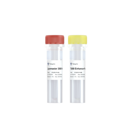 Lipomaster 3000 Transfection Reagent