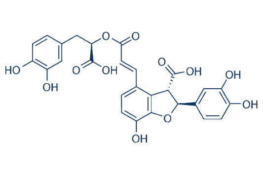 Lithospermic acid