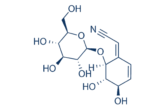 Lithospermoside