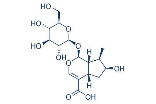 Loganic acid